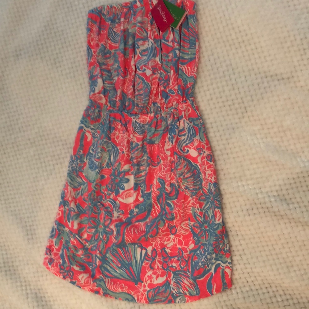 Lilly Pulitzer Dress